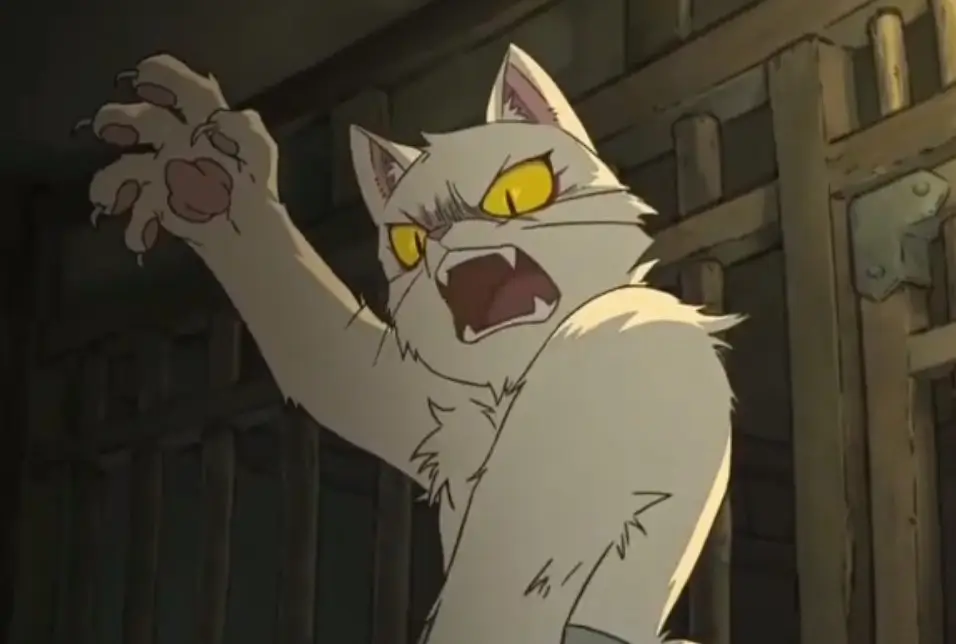 Bai Mao: A Comprehensive Look at the White Cat Legend's Charismatic Character